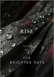 Rise — for brighter days